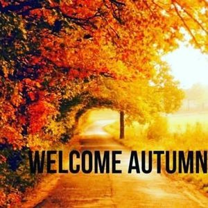 Meet your Posher, Lucy